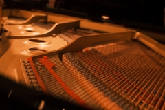 94ce69ebec5869b664decabb4f4cc981