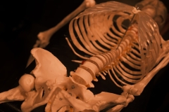 e4bbeb2061d7e73df9a593c5cccec3a1